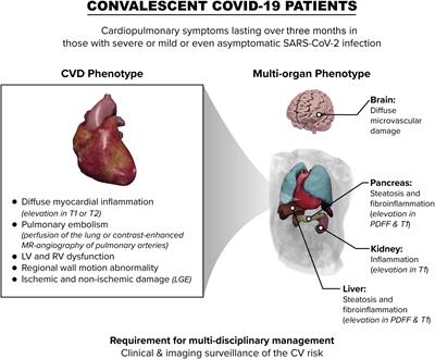 The Additive Value of Cardiovascular Magnetic Resonance in Convalescent COVID-19 Patients